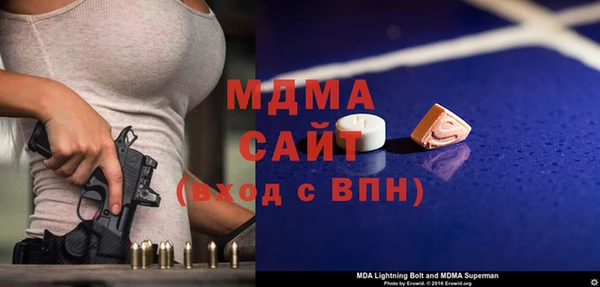 индика Елизово