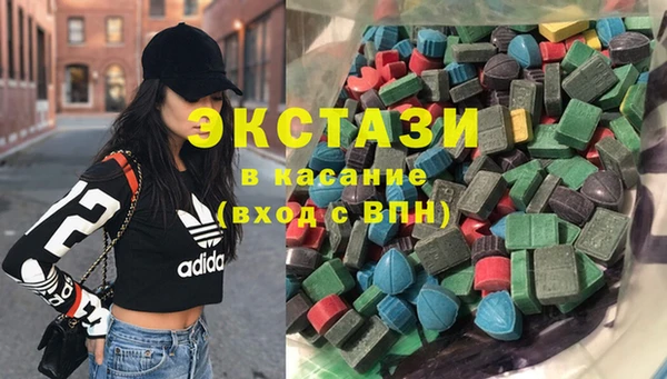 индика Елизово