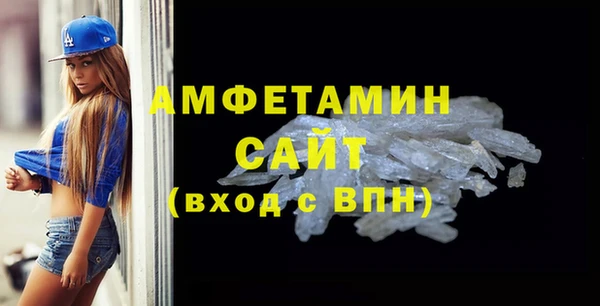 индика Елизово