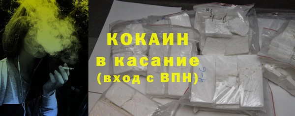 индика Елизово