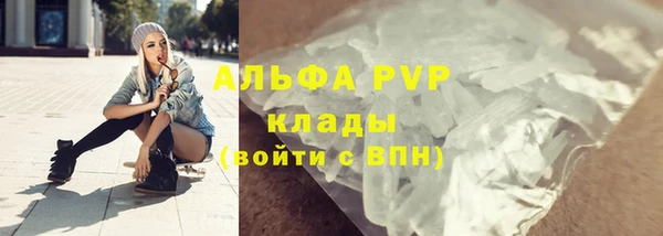 индика Елизово