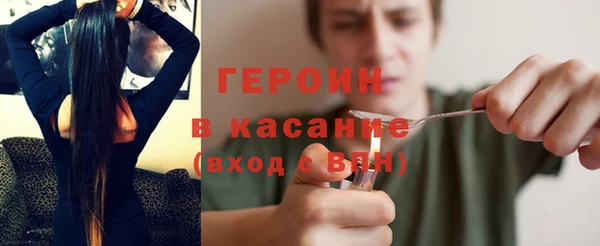 индика Елизово