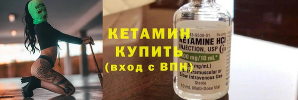 индика Елизово