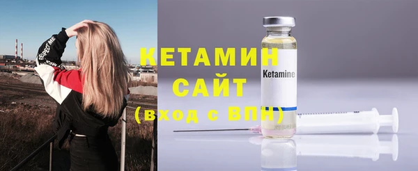 индика Елизово