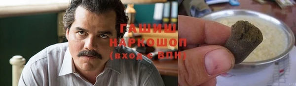 индика Елизово