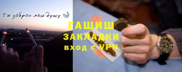 индика Елизово
