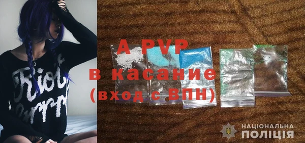 индика Елизово