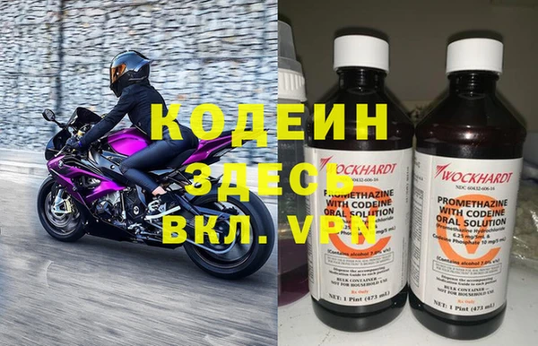 индика Елизово
