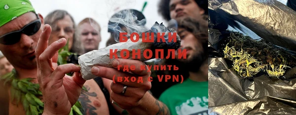 индика Елизово