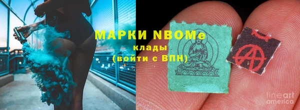 индика Елизово