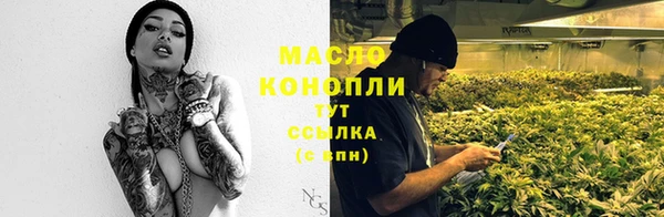 индика Елизово