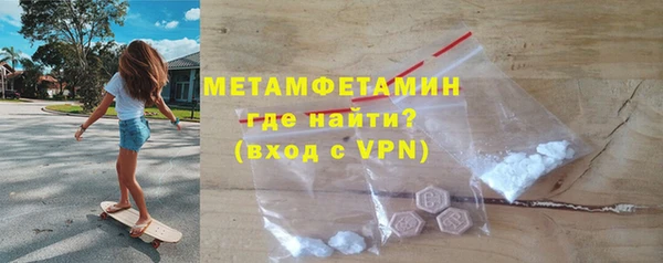 индика Елизово