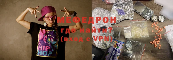 индика Елизово