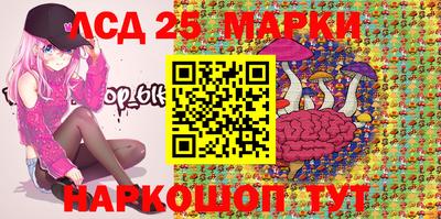 гашик Аргун