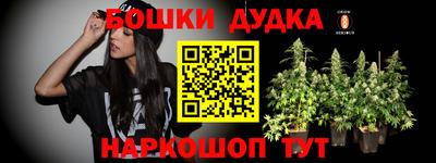 гашик Аргун