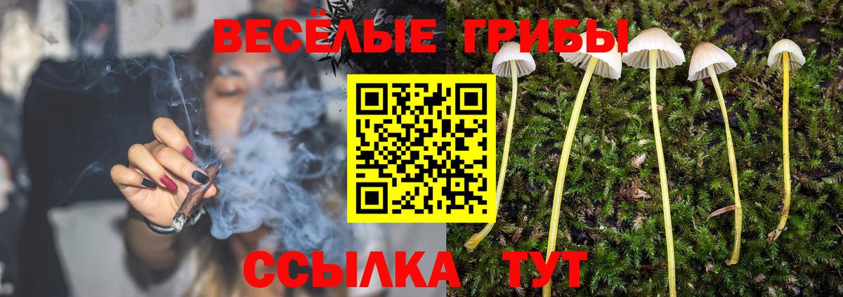 Галлюциногенные грибы ЛСД  Псилоцибиновые грибы Psilocybine cubensis  Вход с VPN  Батайск 